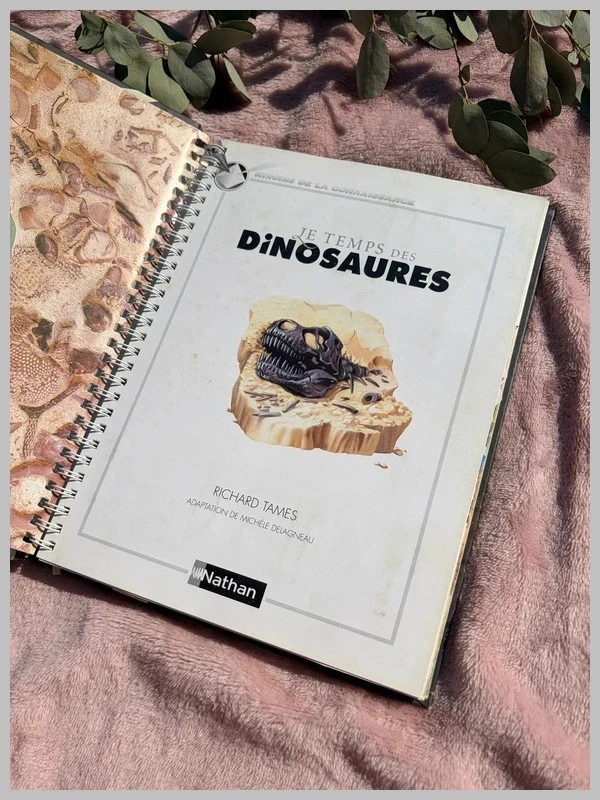 Livro documentário interativo: O tempo dos dinossauros - Nathan <3 – photo 2
